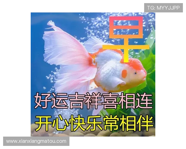 开运平台为你提供专业指导，让好运常伴左右实现梦想